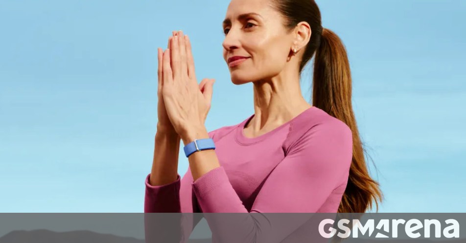 Google joins the screenless fitness tracker arena with the Fitbit Air